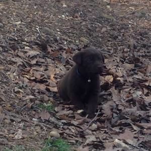 Meet your Posher, Shannon